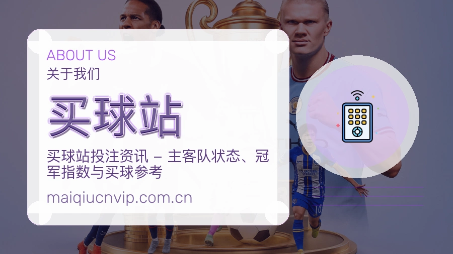 买球站回访体验介绍